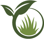 Lawn Renovation Pros