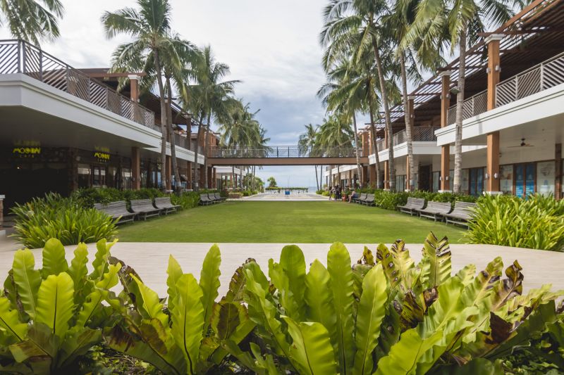 Lawn Renovation detail